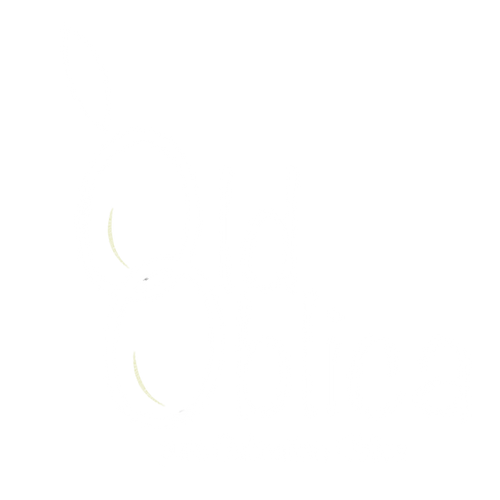 Old-Oblica